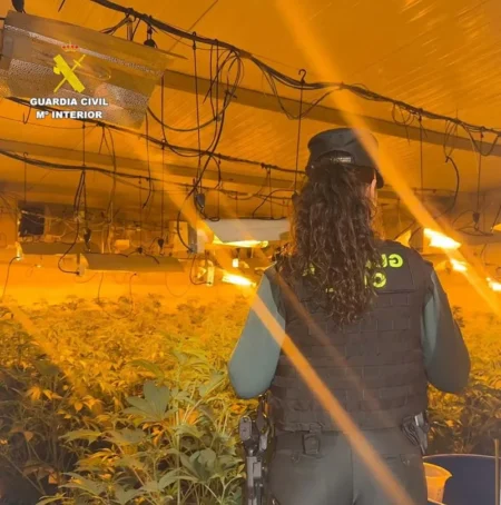 La Guàrdia Civil desmantella una plantació interior a Benicarló