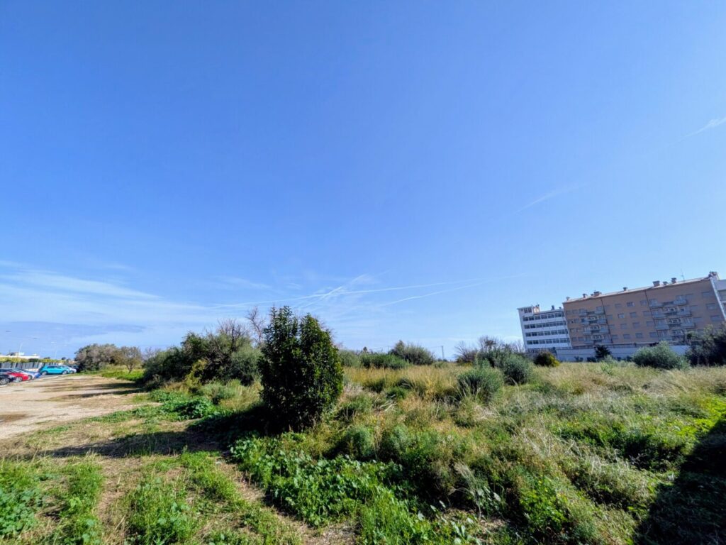 Benicarló impulsa la reparcel·lació del PAI Povet després de 25 anys estancat