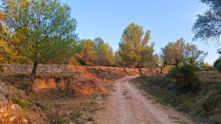 L’Ajuntament de Canet lo Roig neteja i desbrossa diferents camins del terme municipal per a la prevenció d’incendis
