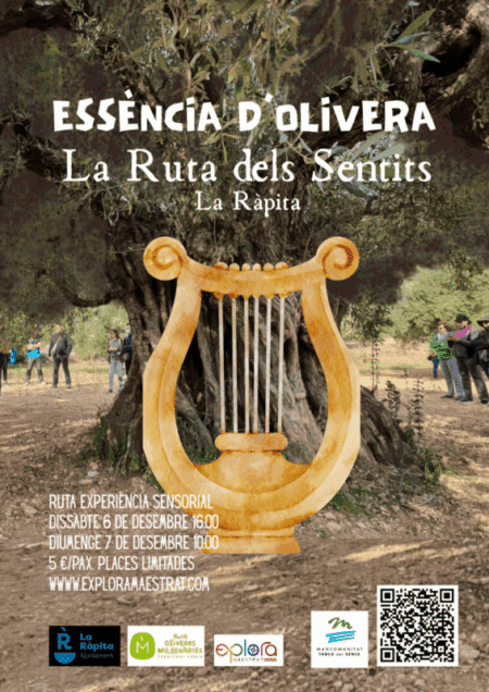 La Ruta dels Sentits arriba a La Ràpita amb una experiència única al voltant de les Oliveres Mil·lenàries del Territori Sénia