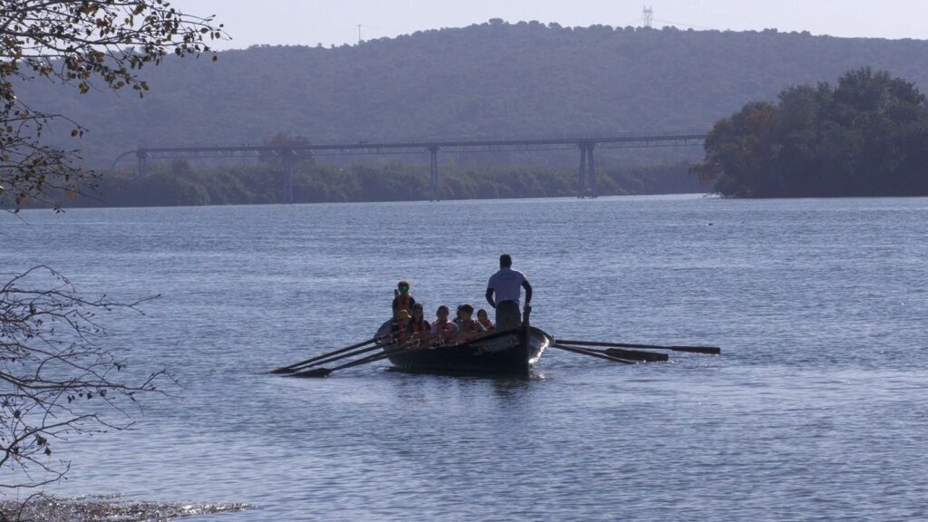 Més de 800 estudiants descobreixen el riu Ebre a través del rem en una iniciativa educativa pionera