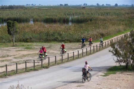 La zona de l’Eucaliptus i el Trabucador concentra gairebé el 40% de les visites que rep el Parc Natural del Delta de l’Ebre