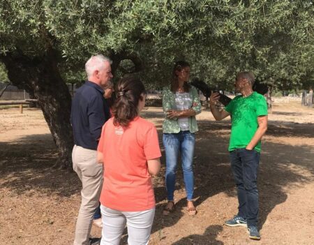 Amposta impulsa «Espigola i alimenta» per combatre el malbaratament alimentari