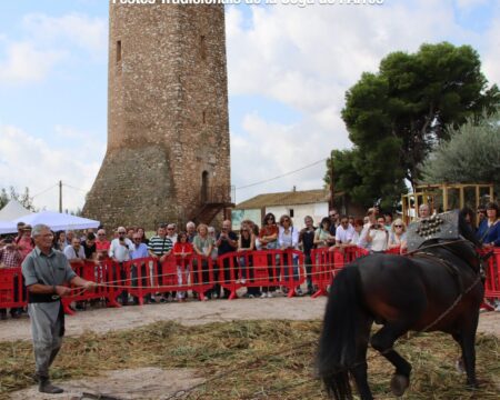 La Festa de la Sega omplirà de tradició i novetats la Finca de Ravanals