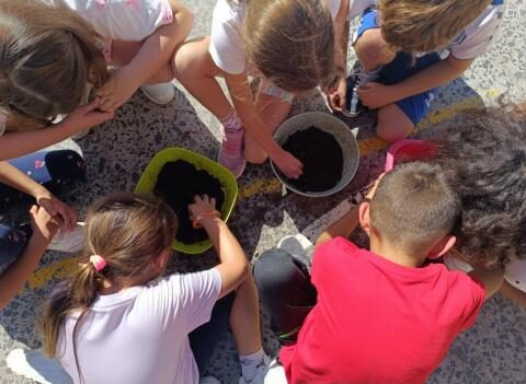 Vinaròs inicia una nova edició del programa d’horts escolars