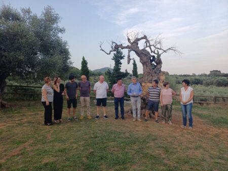 Nova vida a l’Olivera Mil·lenària Morta de la Jana