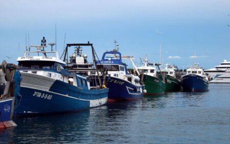 La meitat dels pescadors d’arrossegament de Tarragona ja han esgotat la quota anual i no podran treballar fins al 2026