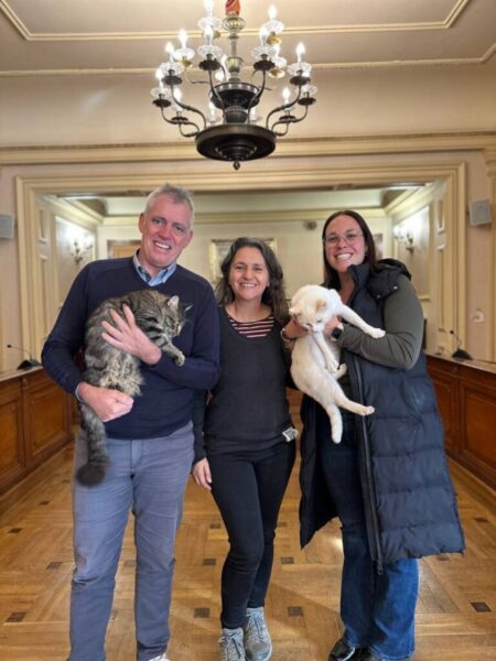 L’Ajuntament reforça amb 8.000 euros el programa de gestió ètica de colònies felines