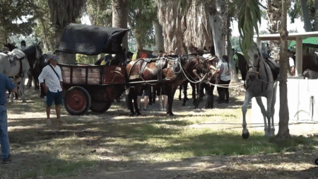 Sant Jaume celebra la Romeria de Sant Pere