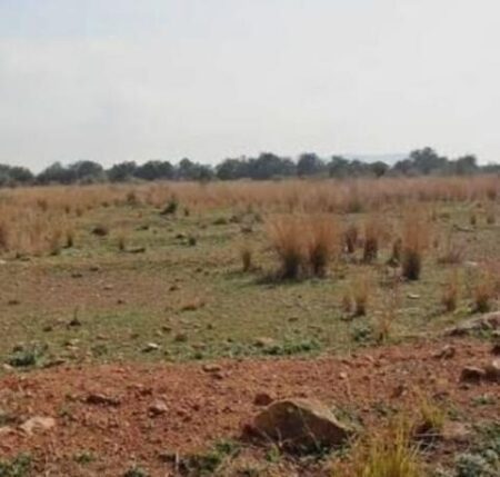 Vinaròs subhasta les parcel·les de Soterranyes per 677.345 euros