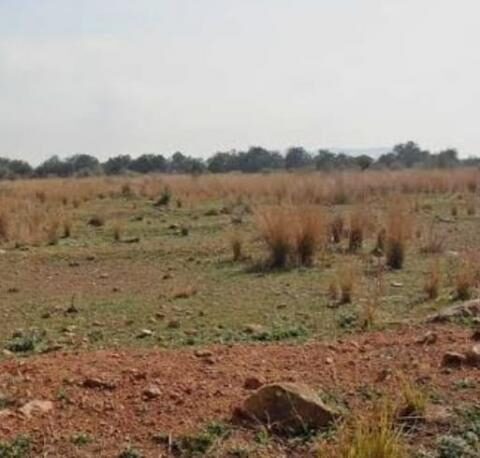 Vinaròs subhasta les parcel·les de Soterranyes per 677.345 euros