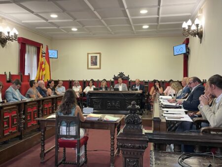 El ple de Tortosa dona llum verda a la modificació pressupostària per comprar els terrenys del nou hospita
