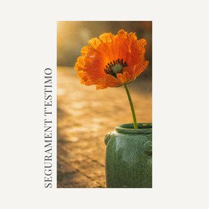 Segurament t'estimo - Els Amics De Les Arts