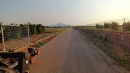 Agricultura reprendrà el desbrossament dels camins rurals