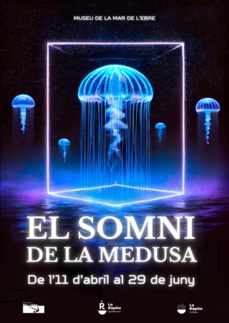 El Museu de la mar de l’Ebre presenta l’exposicióimmersiva ‘El somni de la medusa’