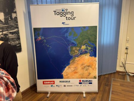 L’Ametlla de Mar acull la desena edició del Scientific Angler Tagging Tour per marcar tonyines vermelles
